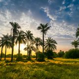 Guinea-Bissau ist ein afrikanischer Staat an der Westküste des Kontinents. Zu dem Festland gehört ein Archipel, der aus mehreren hundert Inseln besteht, die sich im Atlantik verteilen. Viele von ihnen sind unbewohnt und nur mit dem Boot erreichbar. Das Land verzeichnet pro Jahr 52.000 Besucher. 