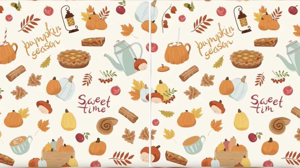 Augentest: Herbstliches Suchbild: Schaffen Sie es, alle Unterschiede finden? Augentest: Herbstliches Suchbild: Schaffen Sie es, alle Unterschiede finden?