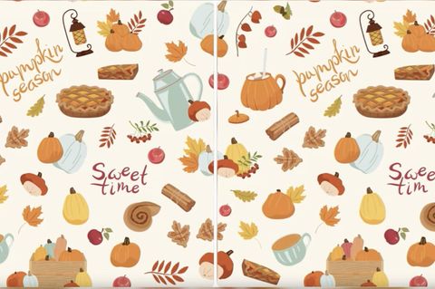 Augentest: Herbstliches Suchbild: Schaffen Sie es, alle Unterschiede finden?
