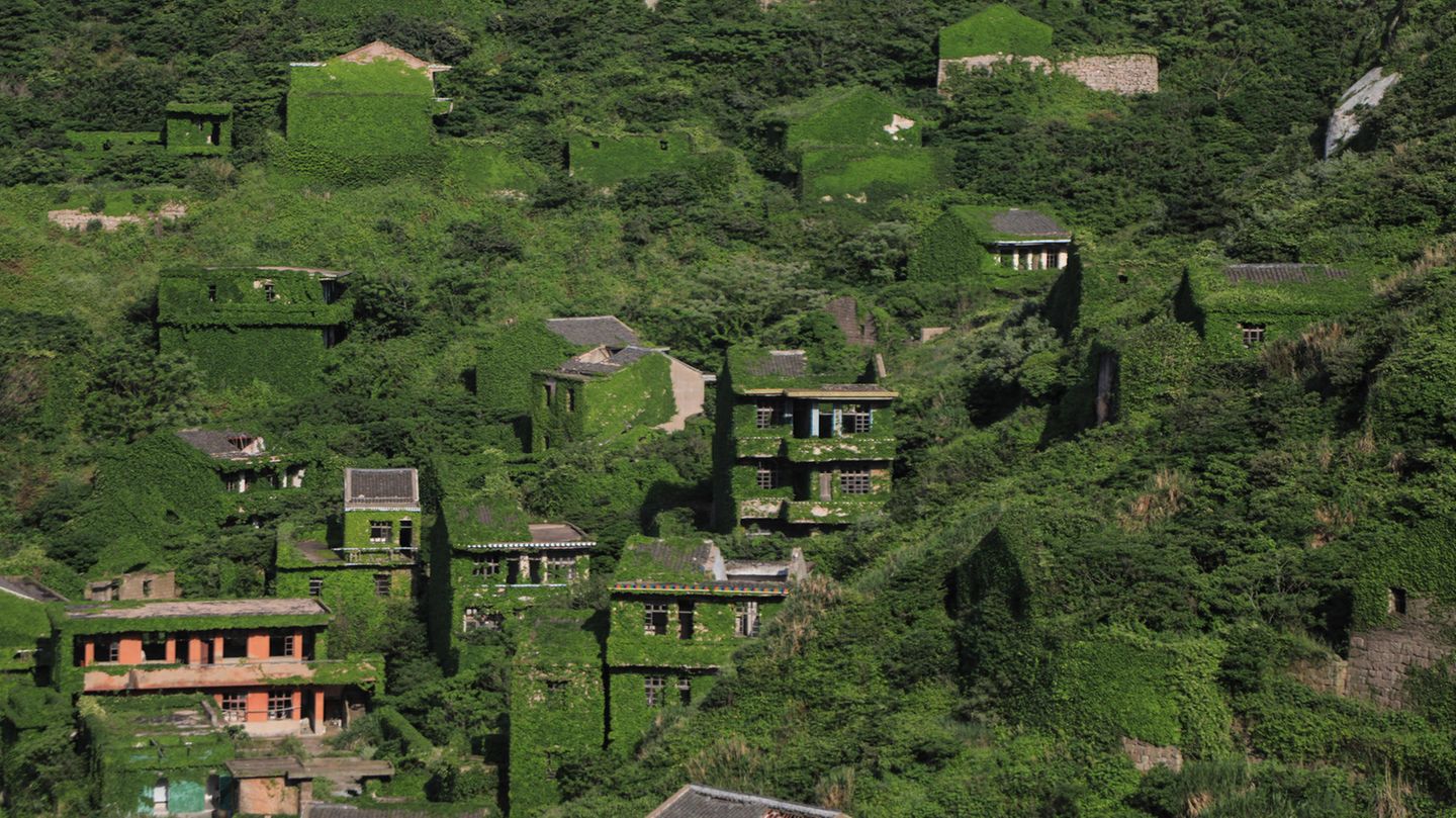 Mehrere Häuser des Dorfes sind mit Pflanzen bewachsen