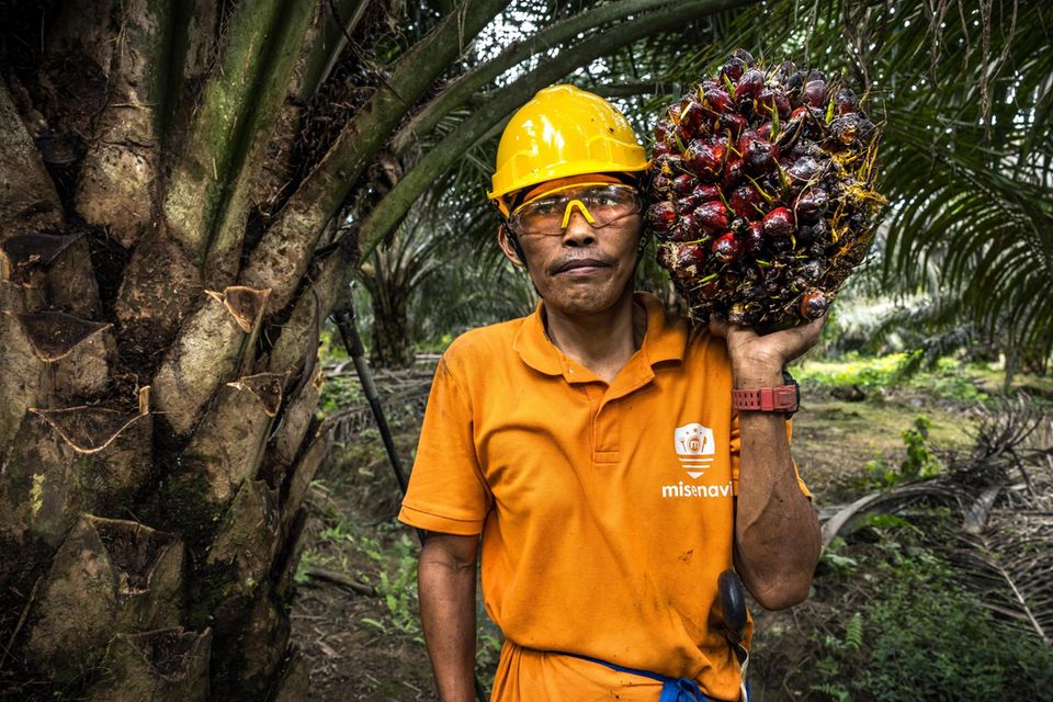 Ein Mann hält eine riesige Staude, größer als sein Kopf, in der Hand