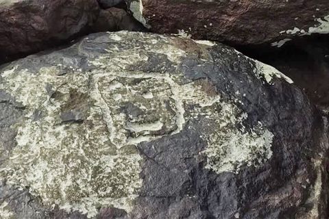 Amazonasgebiet: 2000 Jahre alt? Dürre legt mysteriöse "Stein-Smileys" frei