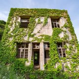 Haus mit Rankepflanzen