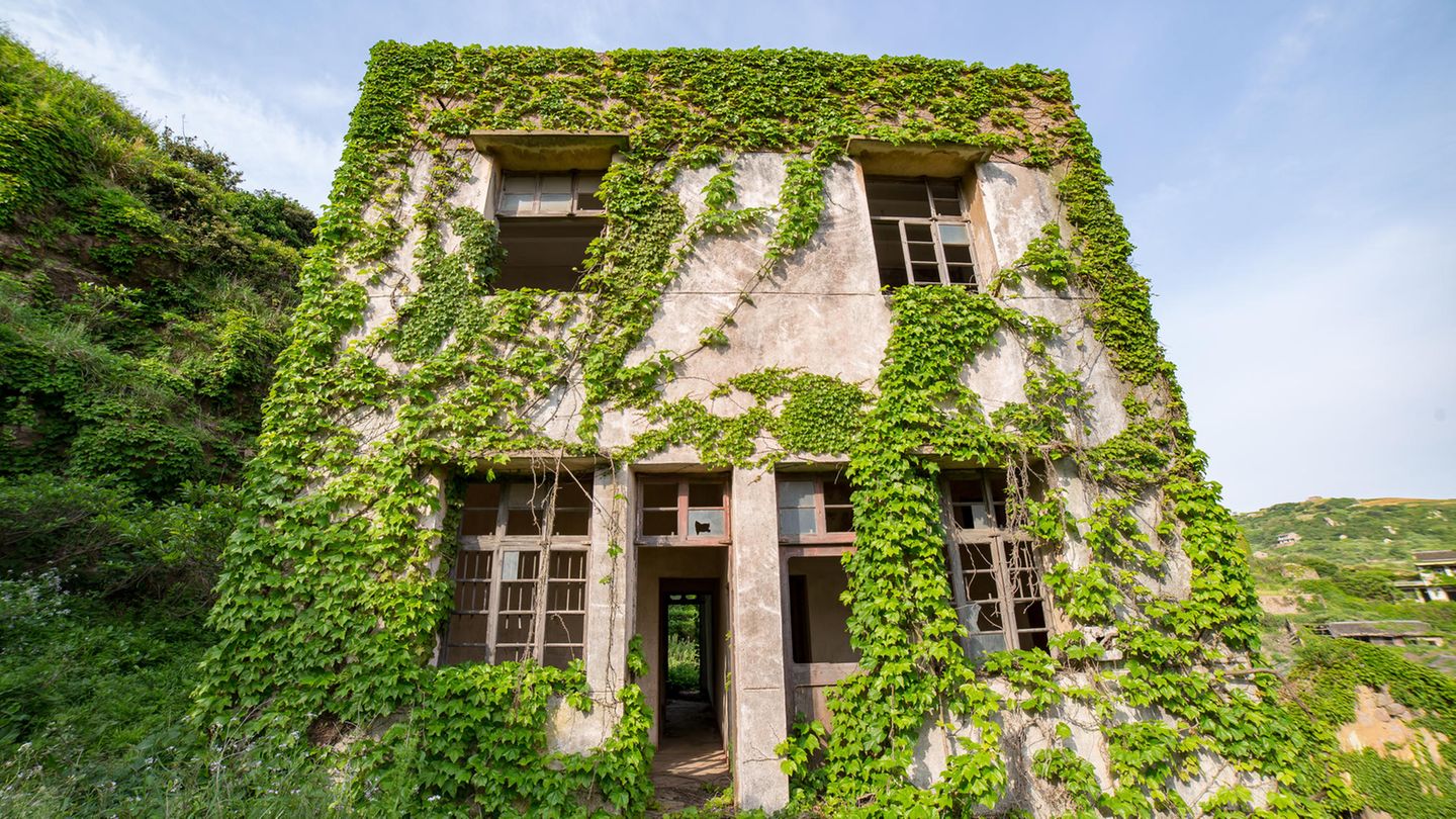 Haus mit Rankepflanzen