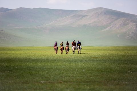 Zucker in der Mongolei: Nomaden leben in der Steppe. Medizinische Versorgung ist weit weg – und teuer