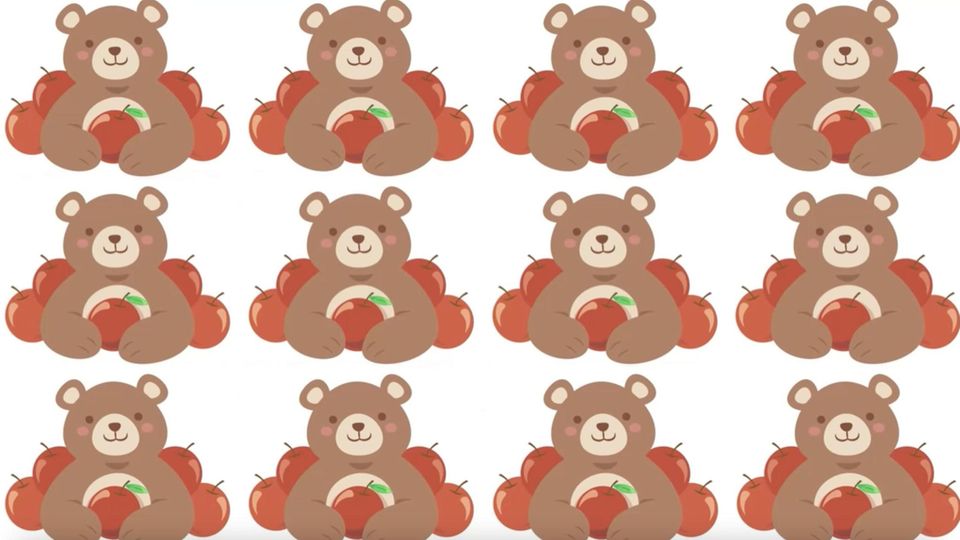 Tierisches Suchbild: Können Sie den abweichenden Bären finden?
