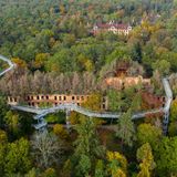 Bick auf den Baumwipfelpfad der Beelitzer heilstätten