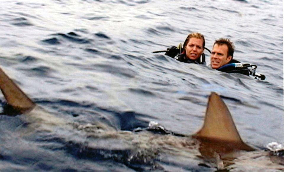 StreamingTipps Diese Filme beruhen auf wahren Begebenheiten STERN.de