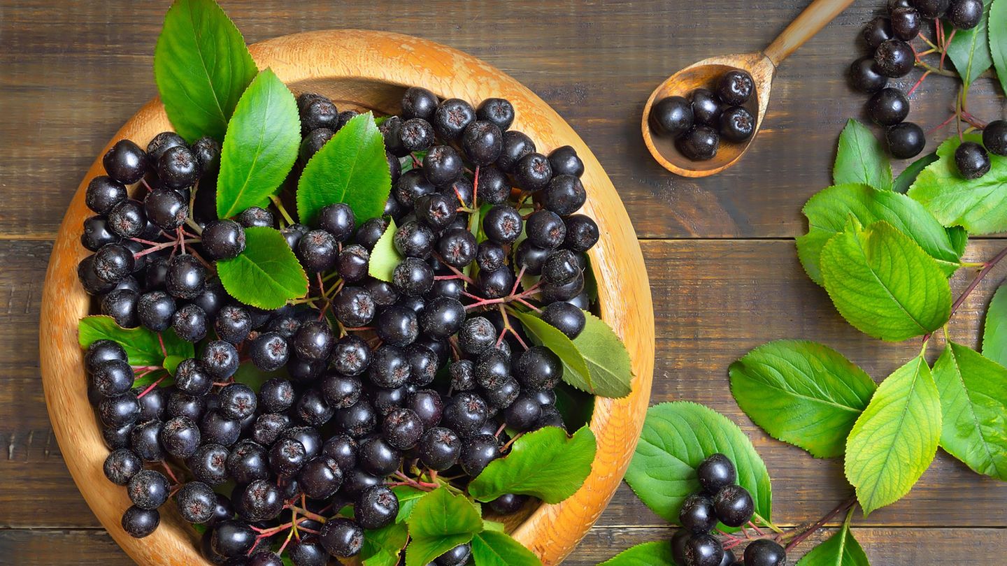 Aroniabeeren in einer Schale