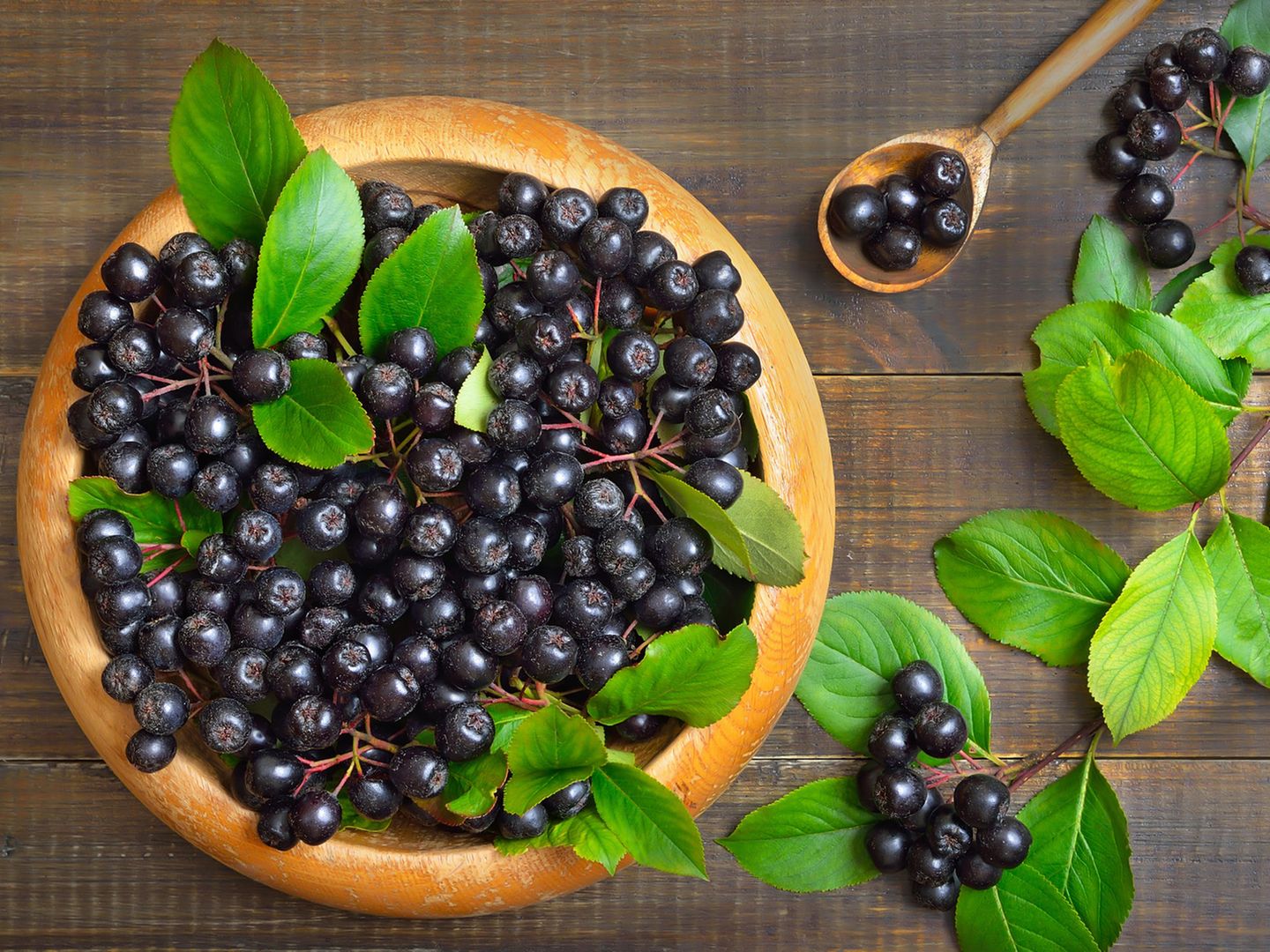 Mit Aronia in den Winter  diese Beere ist gesund fr Gro und Klein |  STERN.de