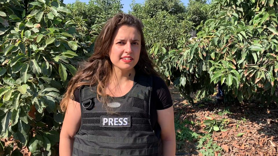 Avocadopflücken neben dem Bombenhagel:"Wir haben keine Angst, das sind ja unsere Geschosse".