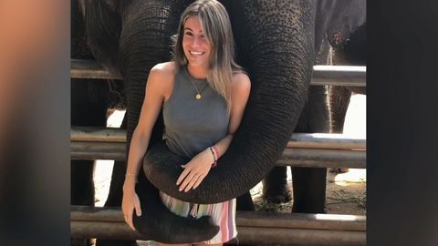 Eine spanische Touristin posiert mit Elefanten, bis diese plötzlich deutlich zeigen, dass sie genug davon haben.