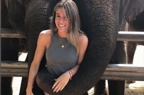 Eine spanische Touristin posiert mit Elefanten, bis diese plötzlich deutlich zeigen, dass sie genug davon haben.