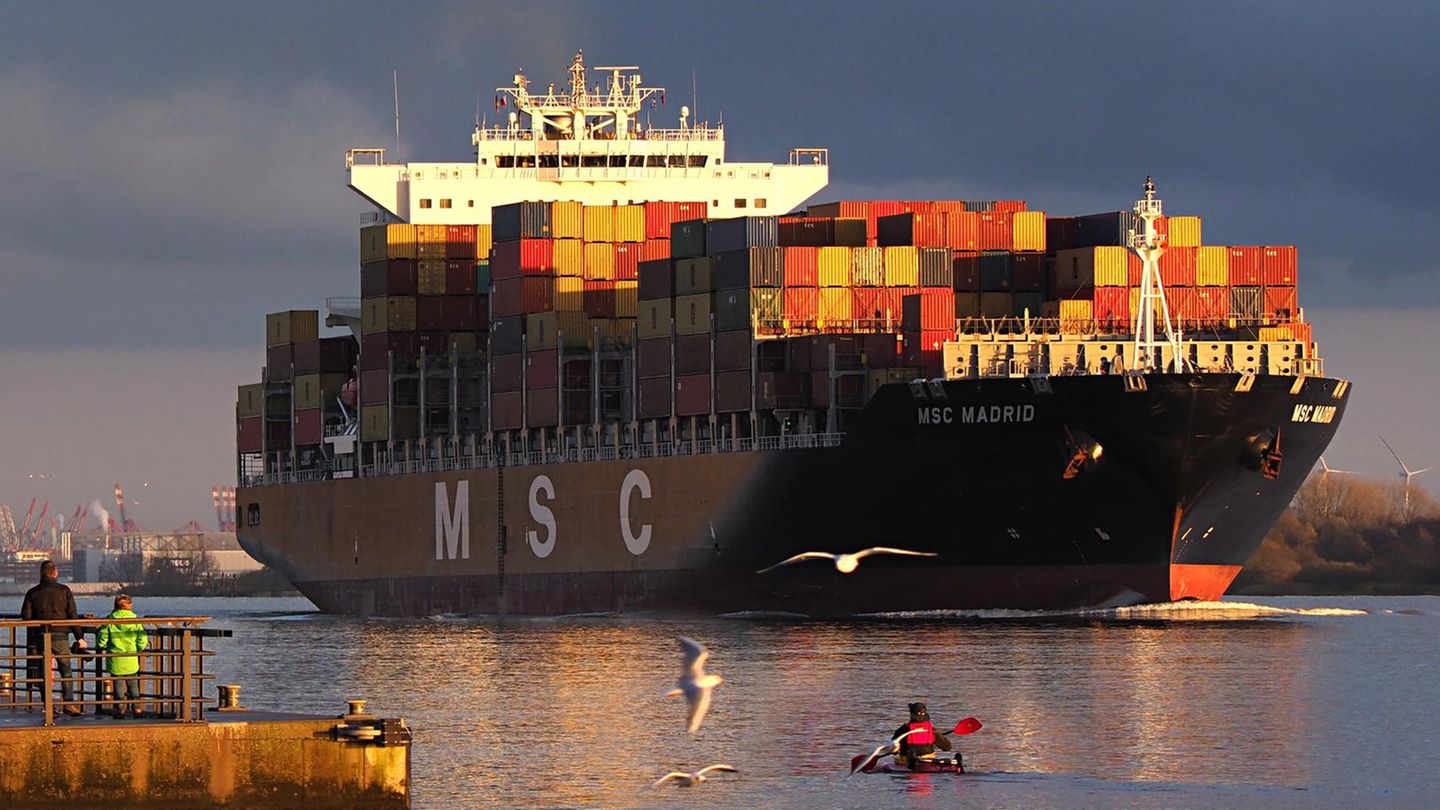 Port of Hamburg: How MSC is reorganizing global supply chains