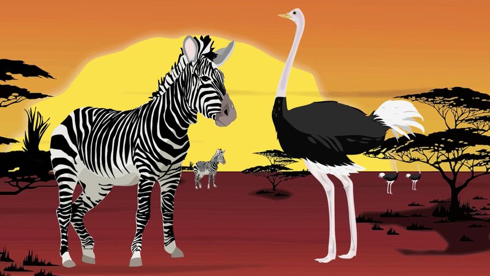 Rätselspaß: Können Sie dieses schwierige Tierrätsel lösen? Rätselspaß: Können Sie dieses schwierige Tierrätsel lösen?