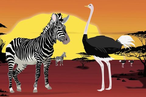 Rätselspaß: Können Sie dieses schwierige Tierrätsel lösen?