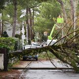 Frankreich: Ein umgestürzter Baum liegt über der Straße