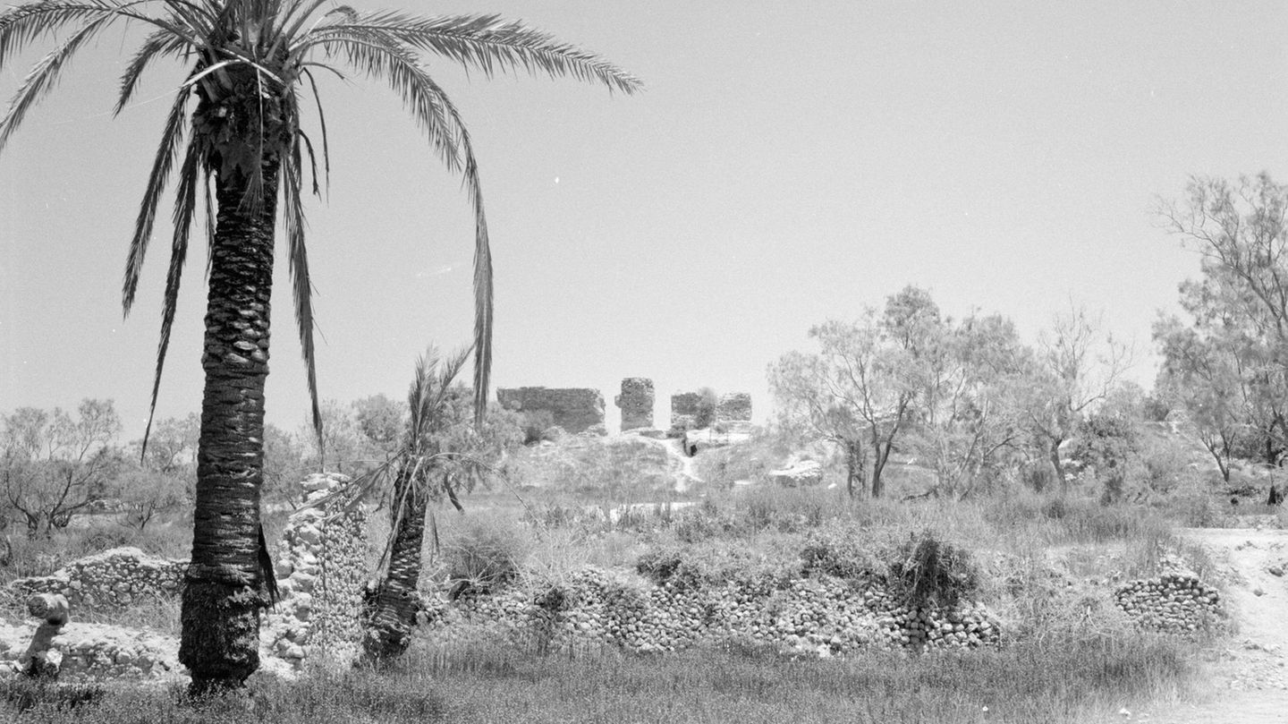 Palestine: Who owns it?  A Brief History of Settlement