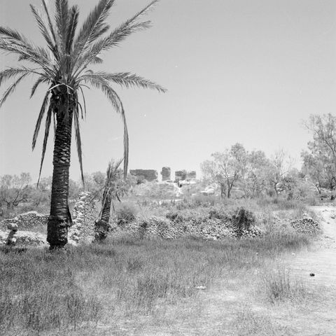 Aschkelon