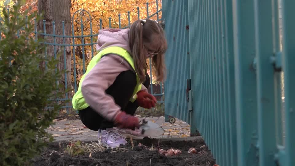 Video: Mit Tulpenzwiebeln gegen das Kriegstrauma