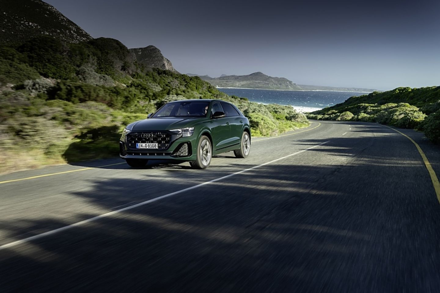 Audi Q8 50 TDI Quattro