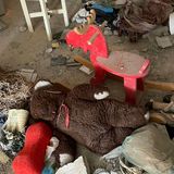 Schaukelpferd und Teddybär: die Spielsachen des Enkelkindes