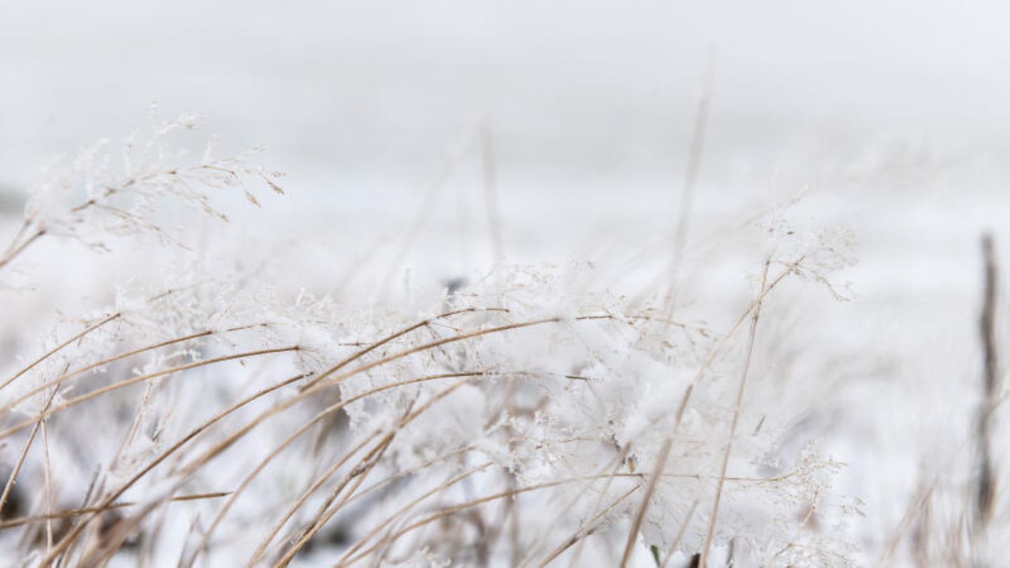 So wird das Wetter am Wochenende