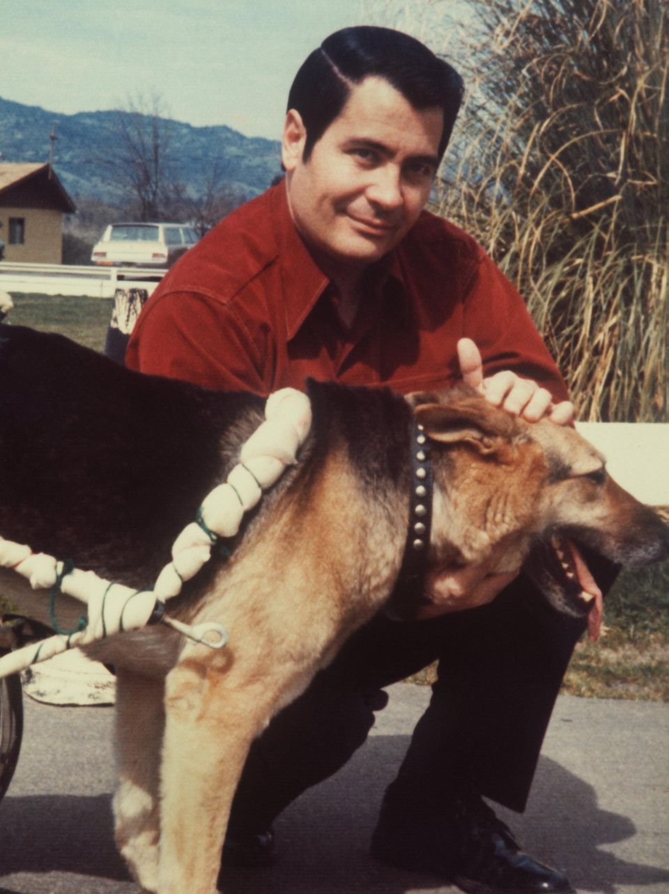 Jonestown: Wie Jim Jones mehr als 900 Menschen in den Tod trieb ..., حجم الصورة 960x1283