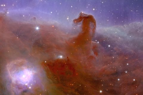 Weltraumteleskop Euclid: Suche nach dunkler Materie: Esa veröffentlich erste Bilder – auch vom berühmten "Pferdekopf"-Nebel