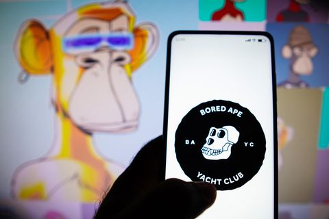Die Affen des "Bored Ape Yacht Club" waren zu Hochzeiten des NFT-Hypes schwer begehrt
