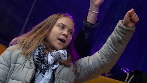 Greta Thunberg auf Klimademo