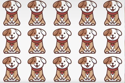 Augentest: Finden Sie den einen anderen Hund in nur 15 Sekunden?