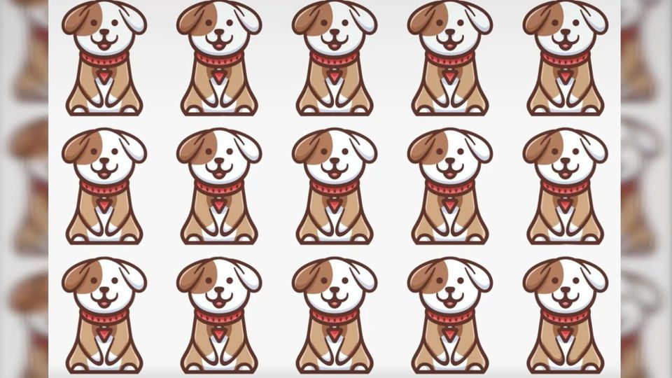 Augentest: Finden Sie den einen anderen Hund in nur 15 Sekunden?