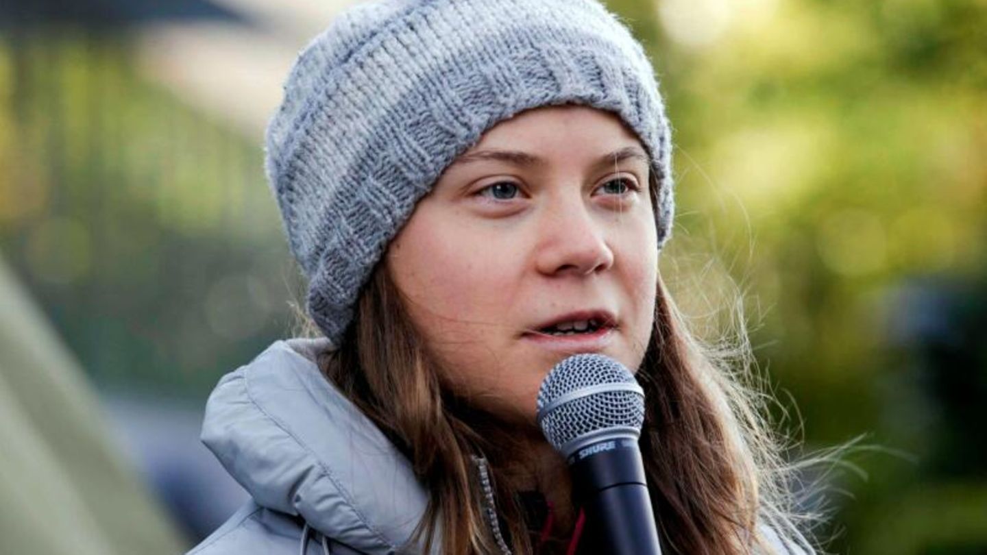Greta Thunberg “disenchants herself”: Harsh criticism in the press