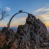 Vor etwa 2000 Jahren befand sich mitten in der deutschen Pfalz eines der wichtigsten keltischen Stadtzentren in ganz Europa. Auf dem Donnerberg haben die Bewohner den Göttern gehuldigt, wobei vor allem der Donnergott eine große Rolle bei den Kelten spielte. Andere Legenden berichten etwa von Zwergenkönigen, die den Berg einst bewohnten. Heute ist der Berg beliebtes Ausflugs- und Wanderziel.  Mehr Infos: Donnersberg