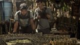 Maze Runner – Die Auserwählten im Labyrinth