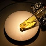 Ein Fötus in einer Ampulle