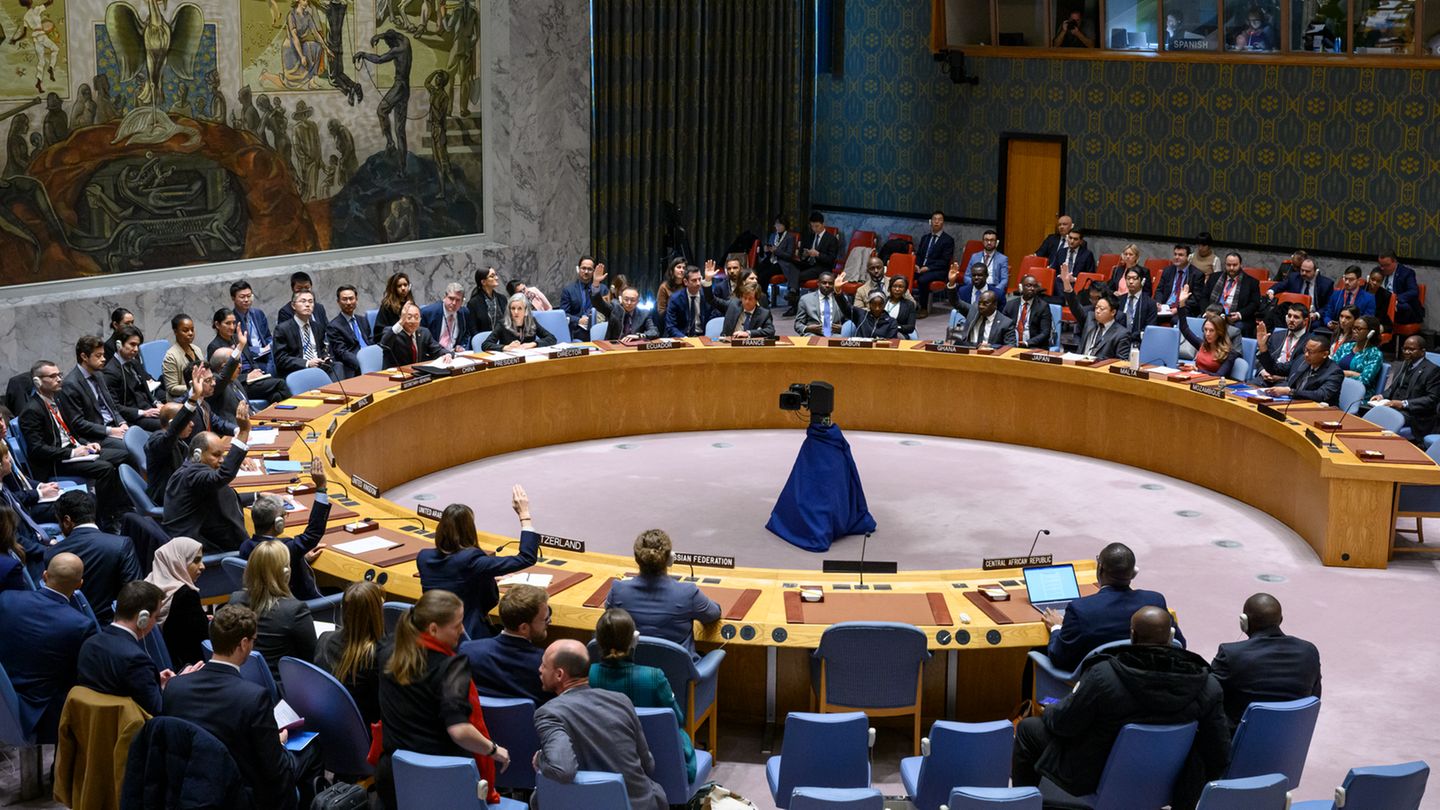 UN Security Council Adopts Gaza Resolution Calling For Ceasefire - 24 ...