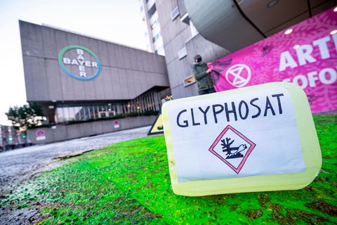 Glyphosat
