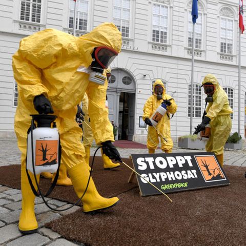 Mitglieder von Greenpeace protestieren in Wien gegen die EU-Zulassung von Glyphosat