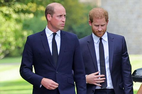 Prinz William und Prinz Harry