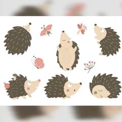 Augentest: Finden Sie alle Fehler im Suchbild – in nur 15 Sekunden?