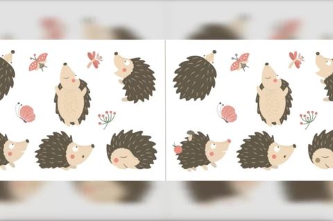 Augentest: Finden Sie alle Fehler im Suchbild – in nur 15 Sekunden?