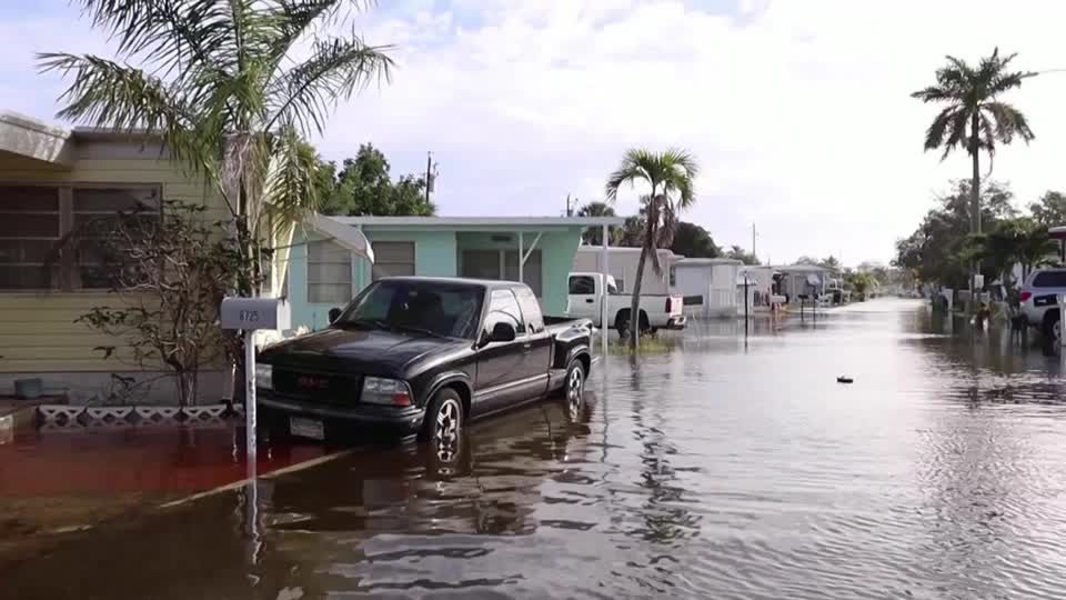 Video: Hochwasser unter Palmen im Südosten der USA Video: Hochwasser unter Palmen im Südosten der USA