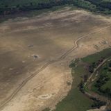 Das Amazonas-Becken in Brasilien leidet unter der größten Dürre seit 120 Jahren – damals begann die Aufzeichnung der Pegelstände. Die Auswirkungen für die Menschen, die regionale Wirtschaft sowie die Flora und Fauna in Südamerika sind gravierend.