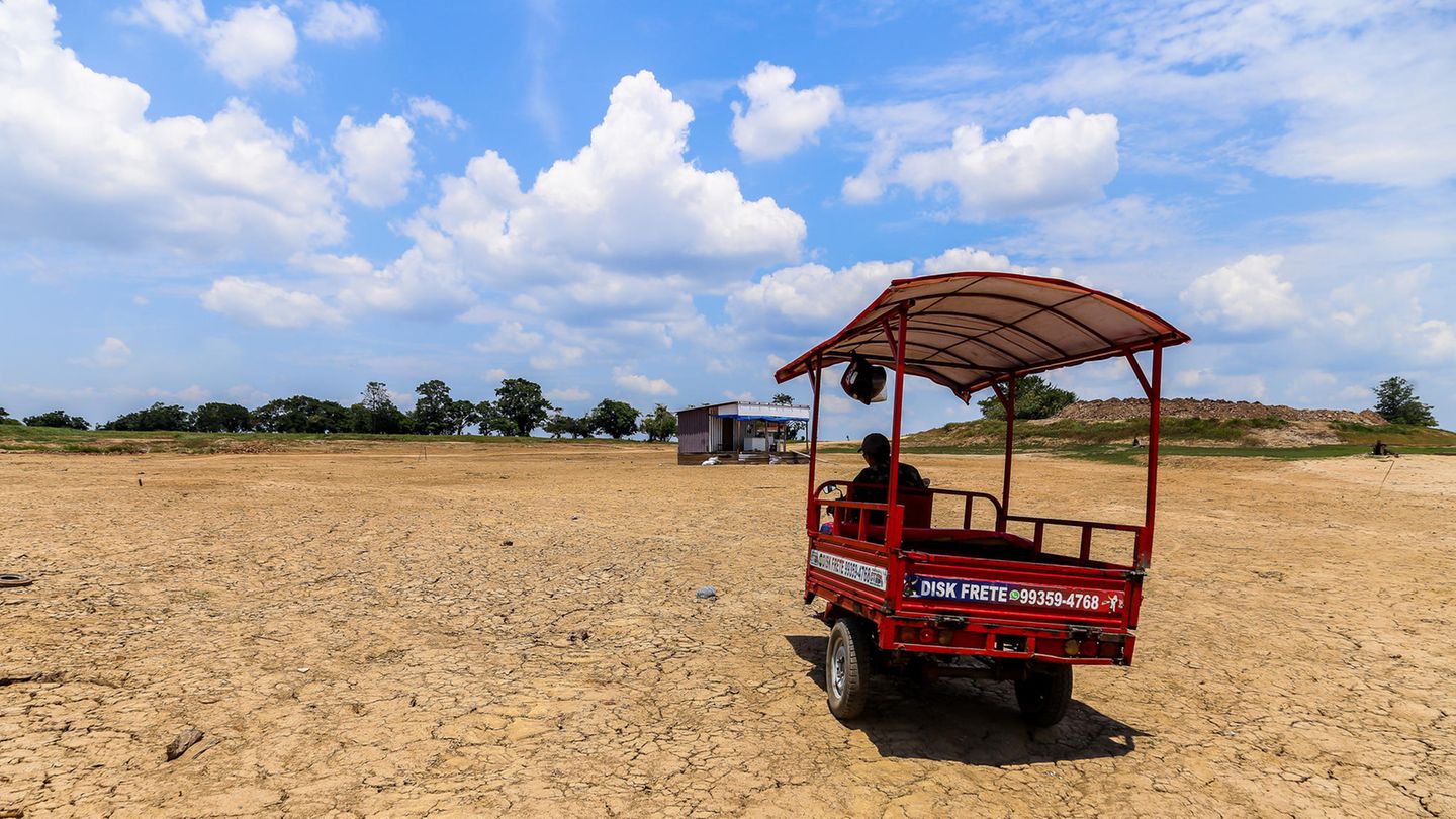 Jahrhundertdürre am Amazonas: Wo sonst Boote fahren, sind nun Fahrzeuge mit Rädern die besten Fortbewegungsmittel. Das brasilianische Amazonasgebiet erstreckt sich über neun Bundesstaaten und entspricht flächenmäßig der Größe Westeuropas. Es ist Heimat für eine atemberaubende Vielzahl von Pflanzen und Tieren. Ein Fünftel des Süßwassers der Erde fließt nach Schätzungen durch das weltweit größte und komplexeste Netzwerk von Flussläufen. Wo sonst Boote fahren, sind nun Fahrzeuge mit Rädern die besten Fortbewegungsmittel. Das brasilianische Amazonasgebiet erstreckt sich über neun Bundesstaaten und entspricht flächenmäßig der Größe Westeuropas. Es ist Heimat für eine atemberaubende Vielzahl von Pflanzen und Tieren. Ein Fünftel des Süßwassers der Erde fließt nach Schätzungen durch das weltweit größte und komplexeste Netzwerk von Flussläufen.