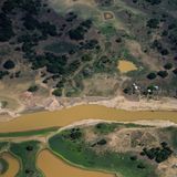 Klimawandel, El Niño und Abholzung verschärfen die Lage im Amazonas. Dürren und Brände werden so wahrscheinlicher, sagen Umweltexperten. Greenpeace-Experte Rômulo Batista ergänzt: "Wir wissen, dass diejenigen, die am meisten unter der Klimakrise leiden, genau diejenigen sind, die die globale Erwärmung am wenigsten verursacht haben."