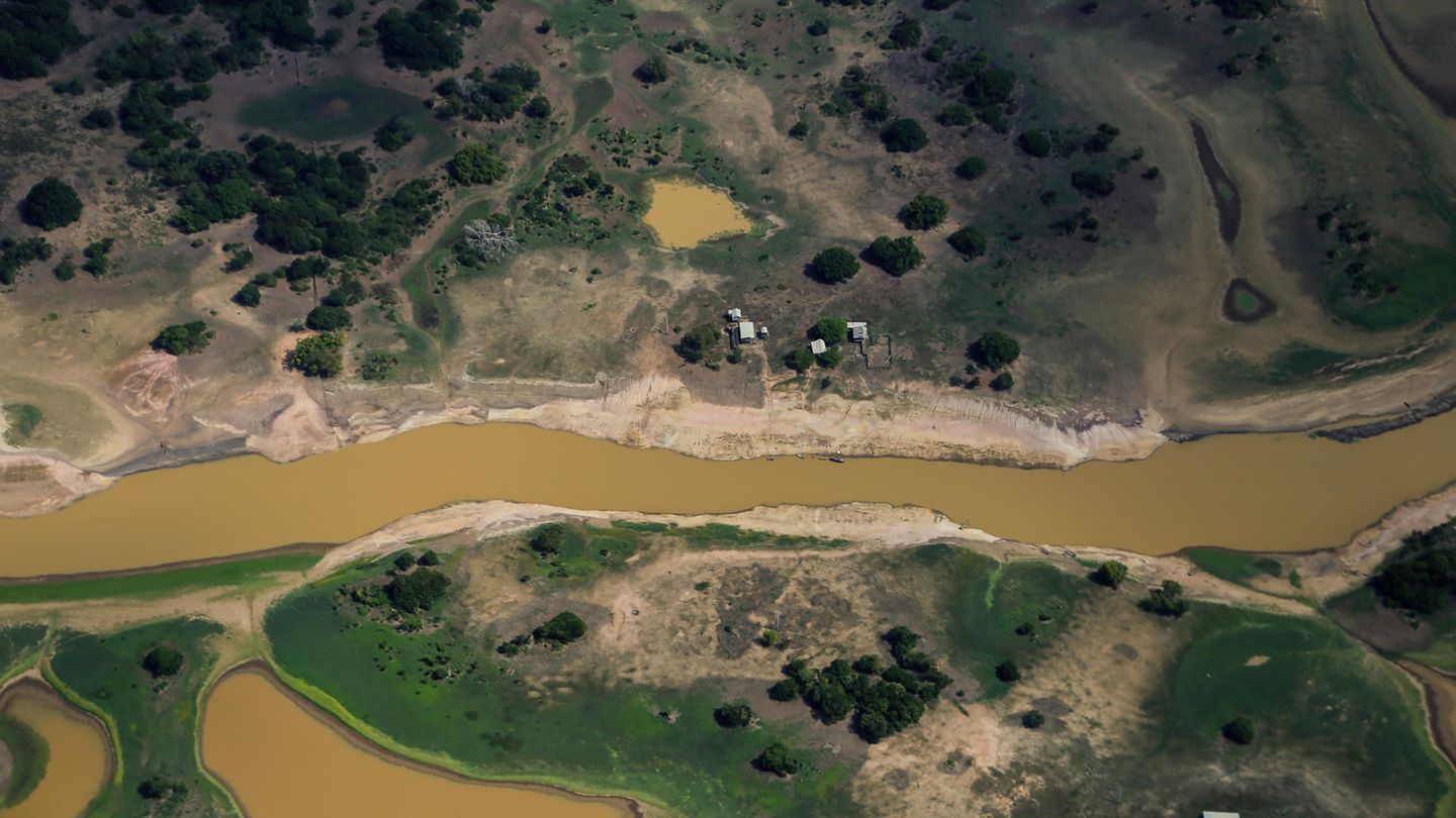 Jahrhundertdürre am Amazonas: Klimawandel, El Niño und Abholzung verschärfen die Lage im Amazonas. Dürren und Brände werden so wahrscheinlicher, sagen Umweltexperten. Greenpeace-Experte Rômulo Batista ergänzt: "Wir wissen, dass diejenigen, die am meisten unter der Klimakrise leiden, genau diejenigen sind, die die globale Erwärmung am wenigsten verursacht haben." Klimawandel, El Niño und Abholzung verschärfen die Lage im Amazonas. Dürren und Brände werden so wahrscheinlicher, sagen Umweltexperten. Greenpeace-Experte Rômulo Batista ergänzt: "Wir wissen, dass diejenigen, die am meisten unter der Klimakrise leiden, genau diejenigen sind, die die globale Erwärmung am wenigsten verursacht haben."