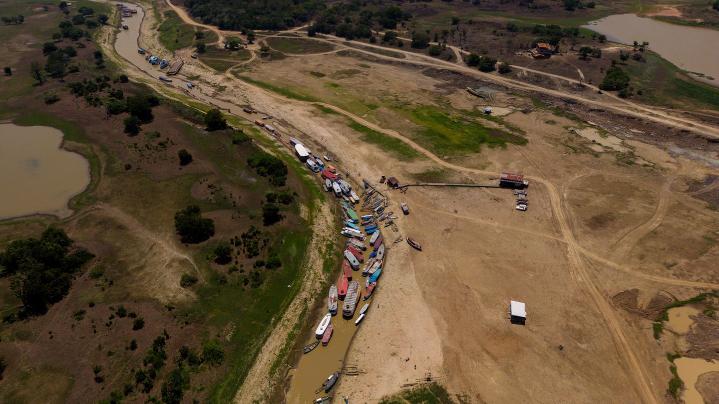 Jahrhundertdürre am Amazonas: Dieses Schicksal teilt er mit vielen Berufsgenossen. In einem Flussarm sind rund zwei Dutzend kleiner Boote wegen niedriger Pegelstände auf Grund gelaufen. Die Versorgung der Gemeinden mit Wasser, Lebensmitteln oder Medikamenten wird immer schwieriger. Besonders betroffen von der aktuellen Dürre ist Brasiliens Bundesstaat Amazonas. Dieses Schicksal teilt er mit vielen Berufsgenossen. In einem Flussarm sind rund zwei Dutzend kleiner Boote wegen niedriger Pegelstände auf Grund gelaufen. Die Versorgung der Gemeinden mit Wasser, Lebensmitteln oder Medikamenten wird immer schwieriger. Besonders betroffen von der aktuellen Dürre ist Brasiliens Bundesstaat Amazonas.