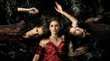 Vampire Diaries